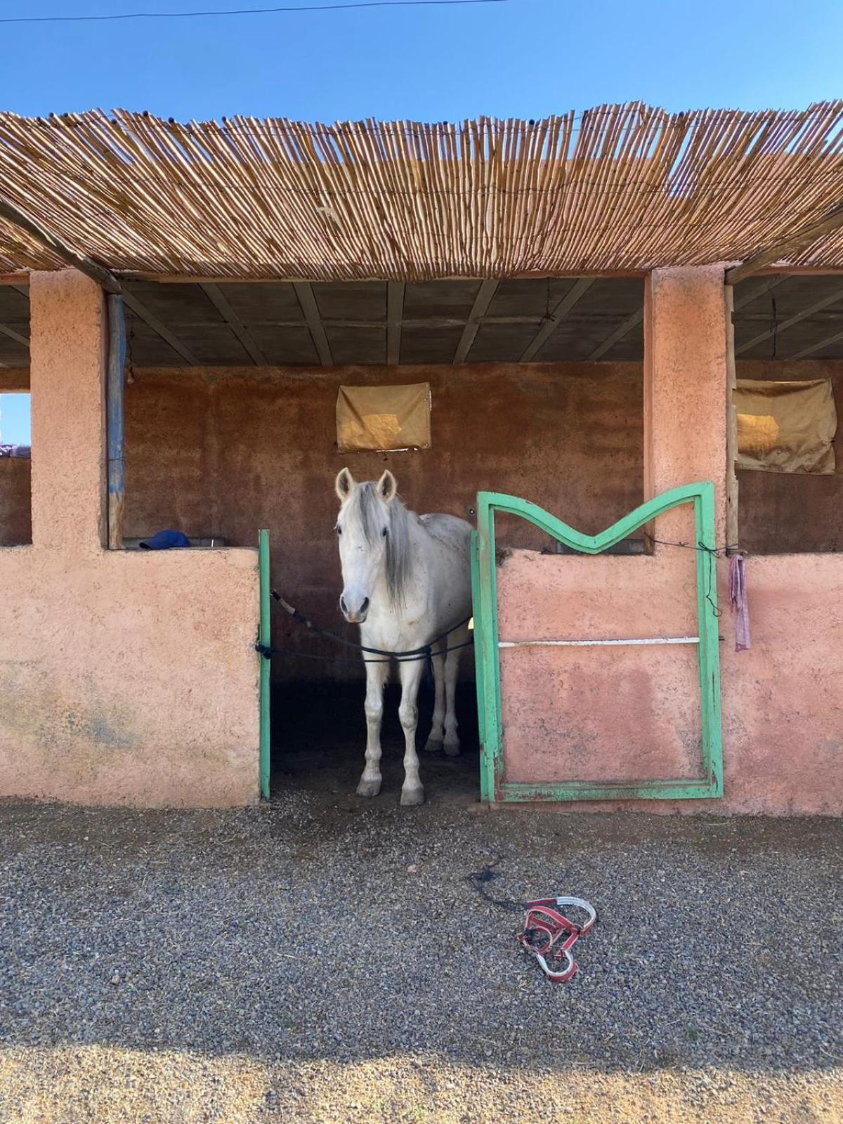 Willa Les Cavaliers Chez Yassine Marrakesz Zewnętrze zdjęcie