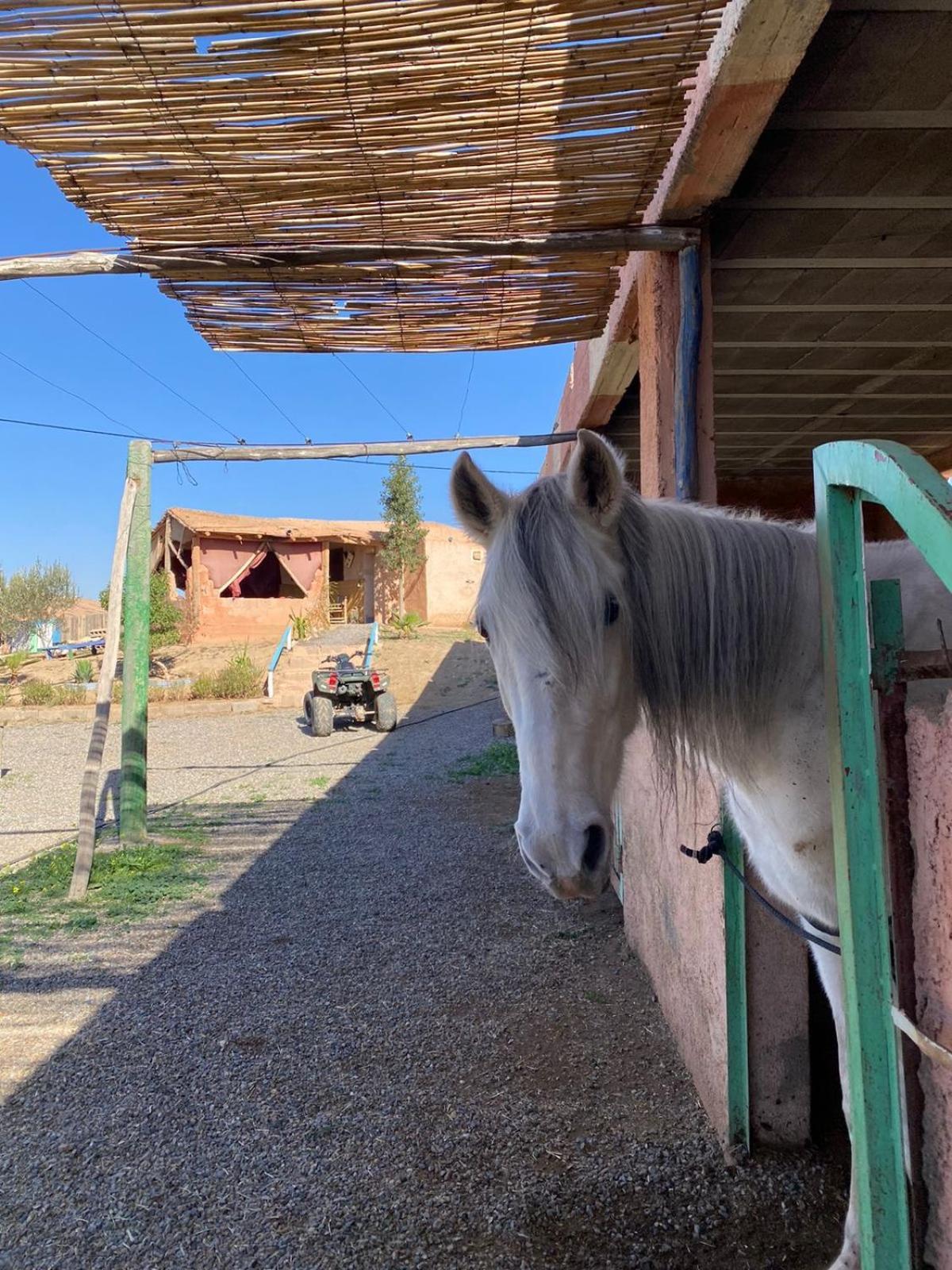 Willa Les Cavaliers Chez Yassine Marrakesz Zewnętrze zdjęcie