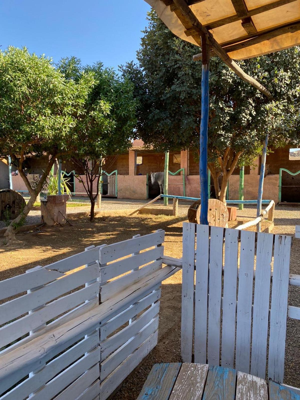 Willa Les Cavaliers Chez Yassine Marrakesz Zewnętrze zdjęcie
